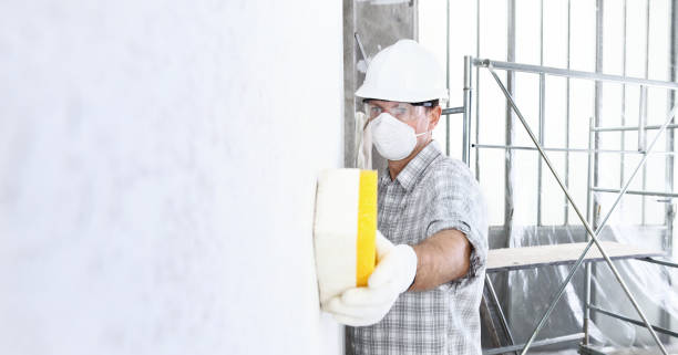 Why You Should Choose Our Mold Remediation Services in Ralls, TX